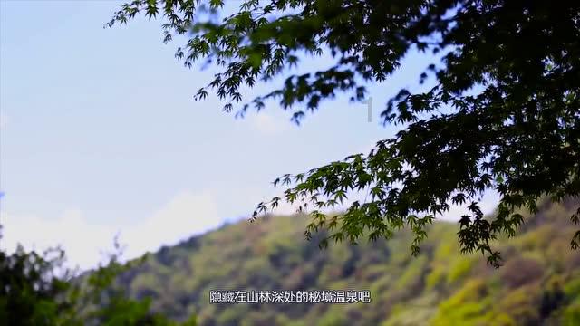 雏菊花园逃生